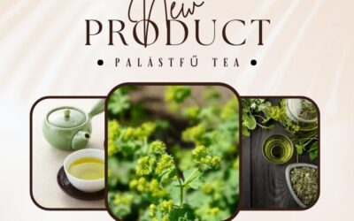 Palástfű tea – újabb termékkel bővült a webshop