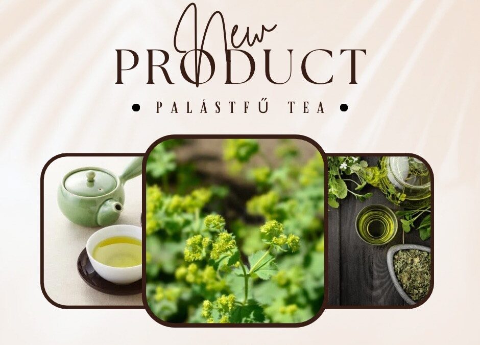 Palástfű tea – újabb termékkel bővült a webshop